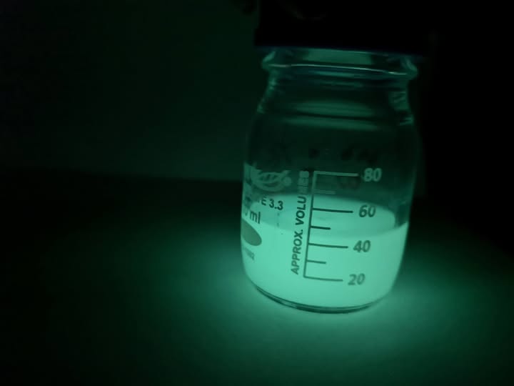 Világító baktérium a környezettoxikológia szolgálatában